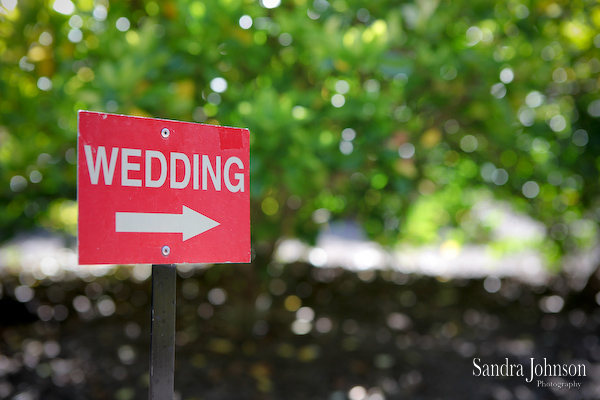 Best Harry P. Leu Gardens Wedding photographer - Sandra Johnson (SJFoto.com)